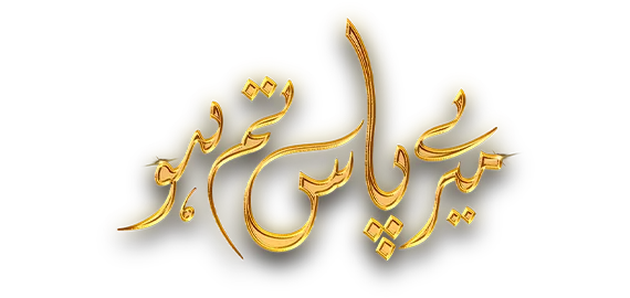 Meray Paas Tum Ho Logo