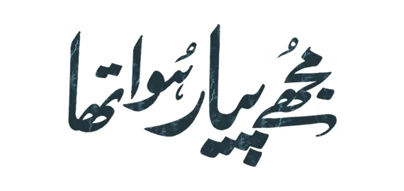 Mujhe Pyar Hua Tha Logo