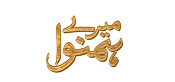Mere Humnawa Logo