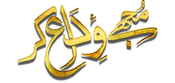Mujhay Vida Kar Logo