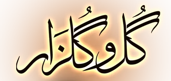 Gulo Gulzar Logo