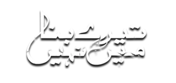 Tere Bina Mein Nahi Logo